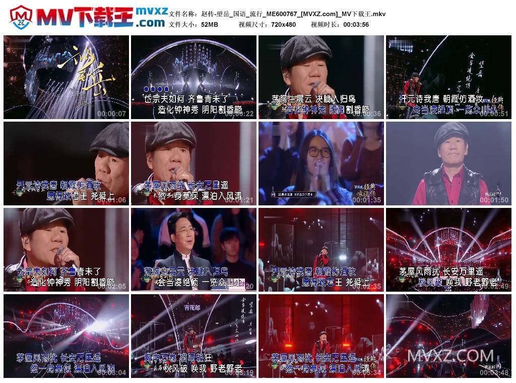 赵传-望岳_国语_流行_ME600767